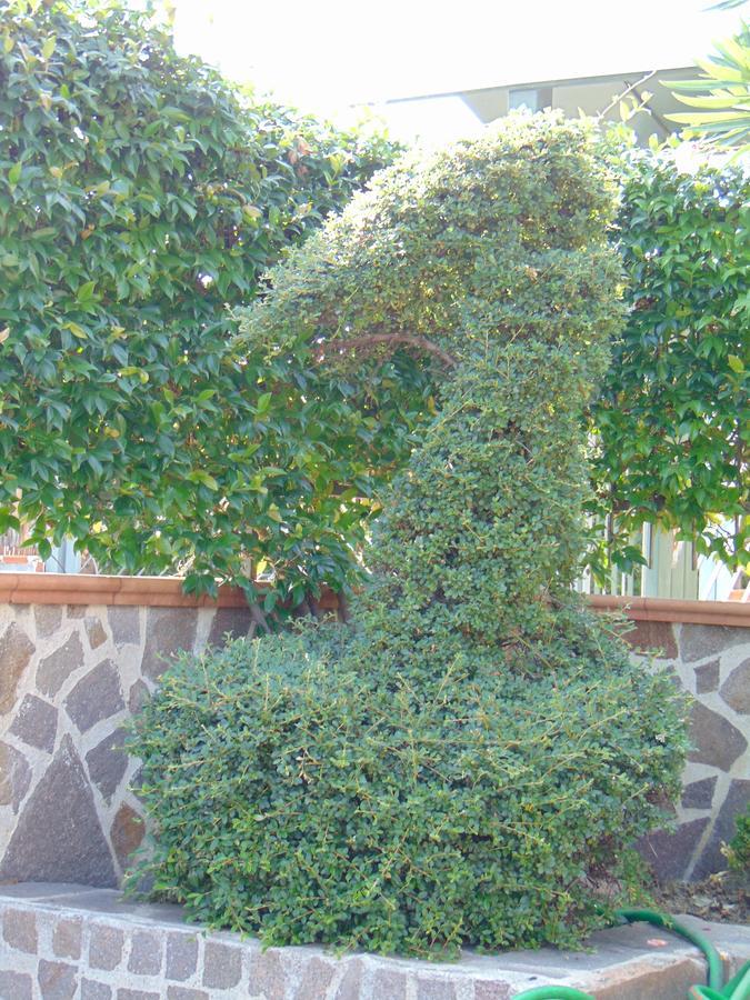 Villa Celeste B&B Pontecagnano Eksteriør billede